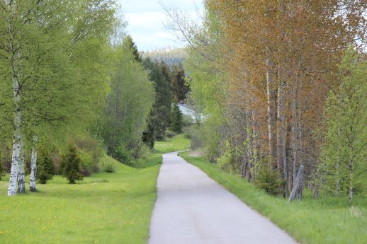 The colour of May